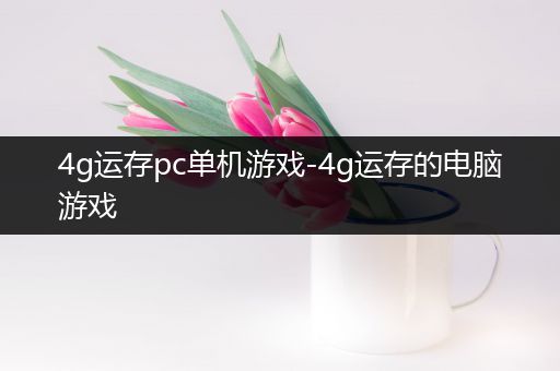 4g运存pc单机游戏-4g运存的电脑游戏