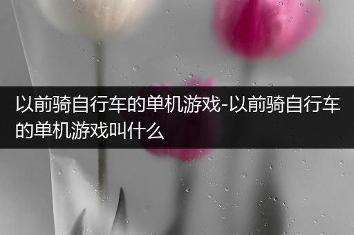 以前骑自行车的单机游戏-以前骑自行车的单机游戏叫什么