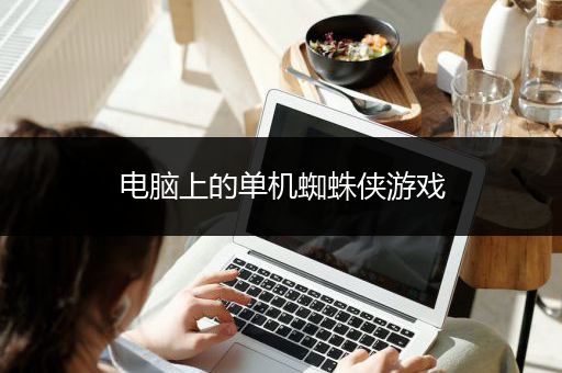 电脑上的单机蜘蛛侠游戏