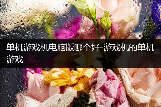 单机游戏机电脑版哪个好-游戏机的单机游戏
