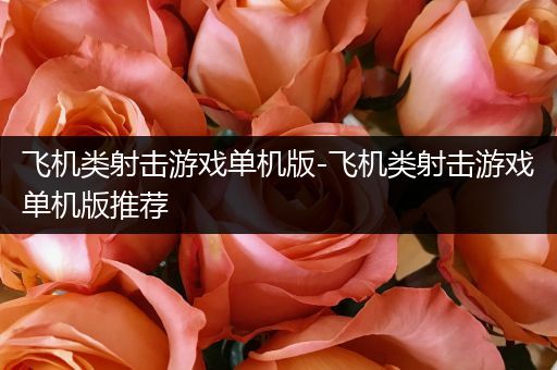 飞机类射击游戏单机版-飞机类射击游戏单机版推荐