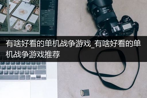 有啥好看的单机战争游戏_有啥好看的单机战争游戏推荐