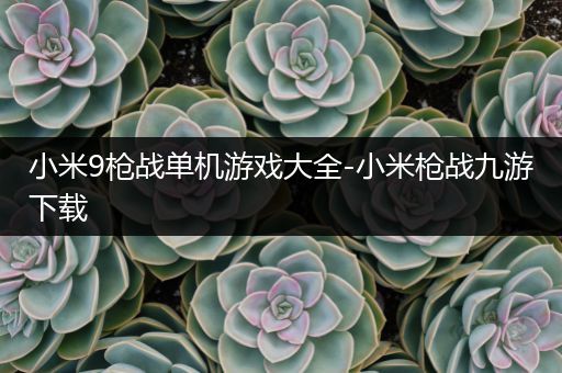 小米9枪战单机游戏大全-小米枪战九游下载