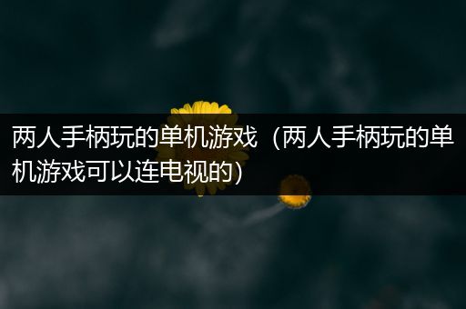 两人手柄玩的单机游戏（两人手柄玩的单机游戏可以连电视的）