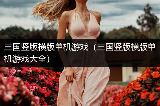 三国竖版横版单机游戏（三国竖版横版单机游戏大全）