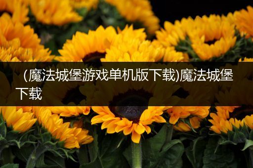 （魔法城堡游戏单机版下载)魔法城堡 下载