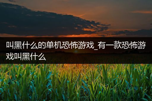 叫黑什么的单机恐怖游戏_有一款恐怖游戏叫黑什么