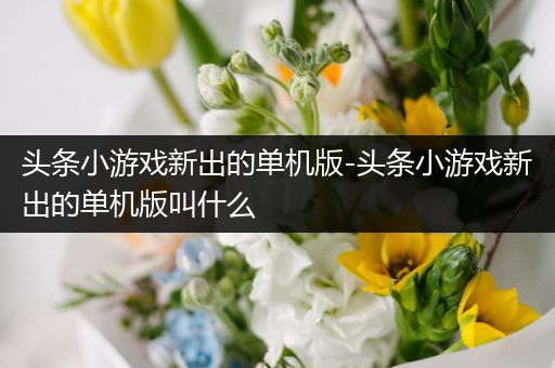 头条小游戏新出的单机版-头条小游戏新出的单机版叫什么