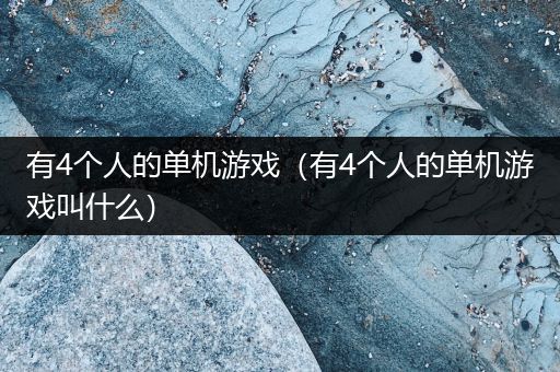 有4个人的单机游戏（有4个人的单机游戏叫什么）
