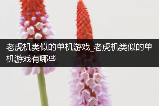 老虎机类似的单机游戏_老虎机类似的单机游戏有哪些
