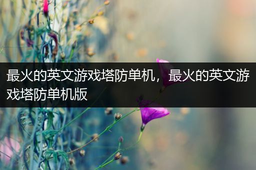 最火的英文游戏塔防单机，最火的英文游戏塔防单机版