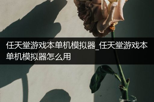 任天堂游戏本单机模拟器_任天堂游戏本单机模拟器怎么用