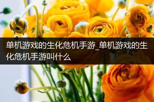 单机游戏的生化危机手游_单机游戏的生化危机手游叫什么