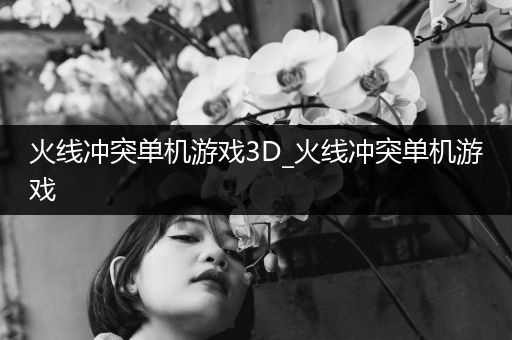 火线冲突单机游戏3D_火线冲突单机游戏