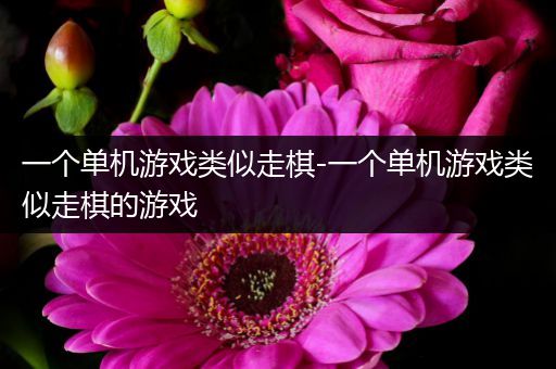一个单机游戏类似走棋-一个单机游戏类似走棋的游戏