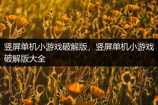 竖屏单机小游戏破解版，竖屏单机小游戏破解版大全