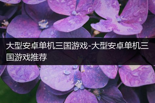 大型安卓单机三国游戏-大型安卓单机三国游戏推荐