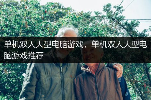 单机双人大型电脑游戏，单机双人大型电脑游戏推荐