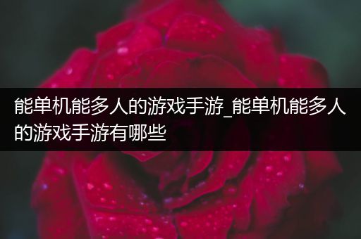 能单机能多人的游戏手游_能单机能多人的游戏手游有哪些