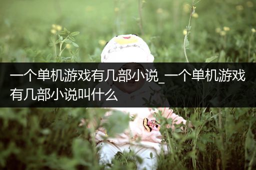 一个单机游戏有几部小说_一个单机游戏有几部小说叫什么