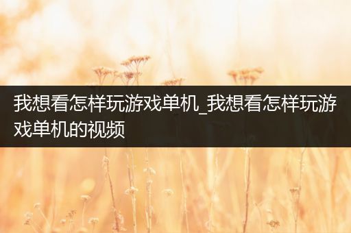 我想看怎样玩游戏单机_我想看怎样玩游戏单机的视频