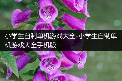 小学生自制单机游戏大全-小学生自制单机游戏大全手机版