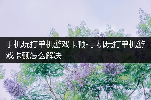 手机玩打单机游戏卡顿-手机玩打单机游戏卡顿怎么解决