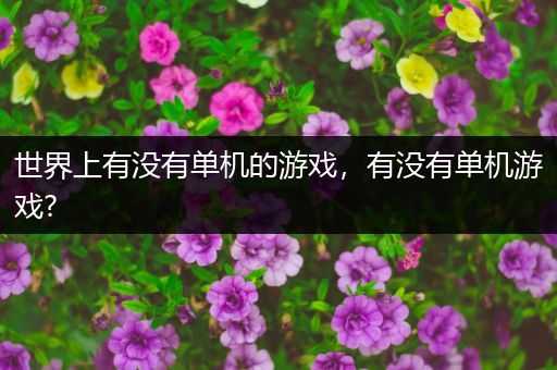 世界上有没有单机的游戏，有没有单机游戏?