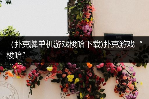 （扑克牌单机游戏梭哈下载)扑克游戏“梭哈”
