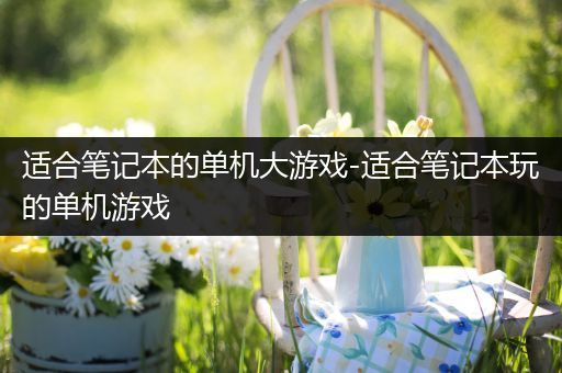 适合笔记本的单机大游戏-适合笔记本玩的单机游戏