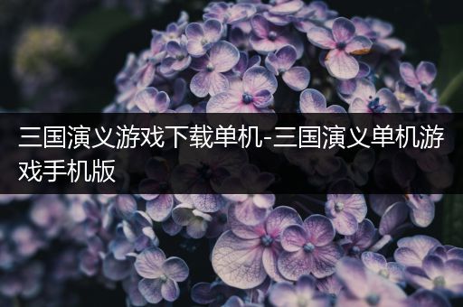 三国演义游戏下载单机-三国演义单机游戏手机版