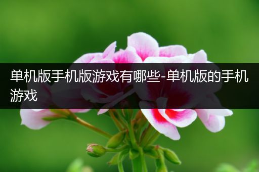 单机版手机版游戏有哪些-单机版的手机游戏