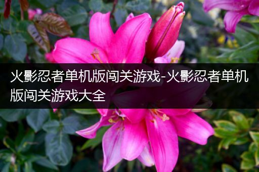 火影忍者单机版闯关游戏-火影忍者单机版闯关游戏大全
