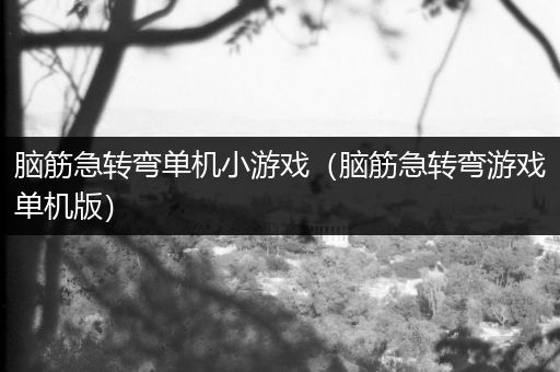 脑筋急转弯单机小游戏（脑筋急转弯游戏单机版）