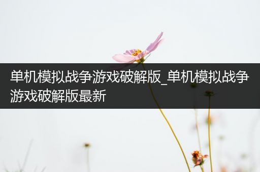 单机模拟战争游戏破解版_单机模拟战争游戏破解版最新