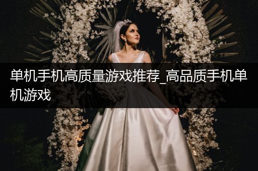 单机手机高质量游戏推荐_高品质手机单机游戏