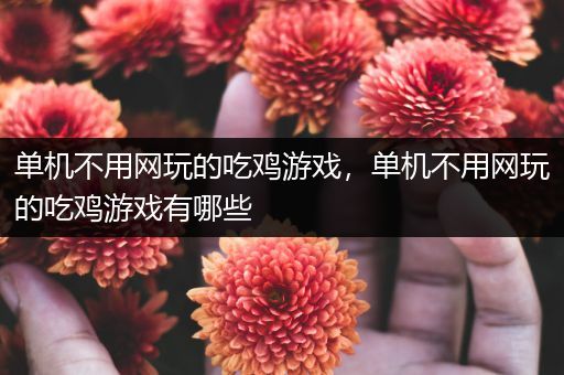 单机不用网玩的吃鸡游戏，单机不用网玩的吃鸡游戏有哪些