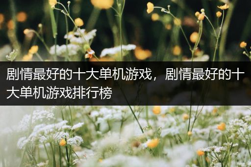 剧情最好的十大单机游戏，剧情最好的十大单机游戏排行榜