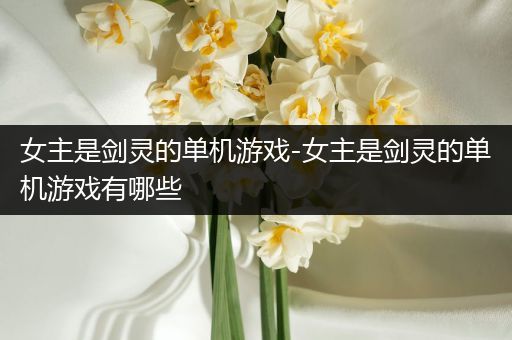 女主是剑灵的单机游戏-女主是剑灵的单机游戏有哪些