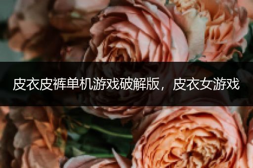皮衣皮裤单机游戏破解版，皮衣女游戏