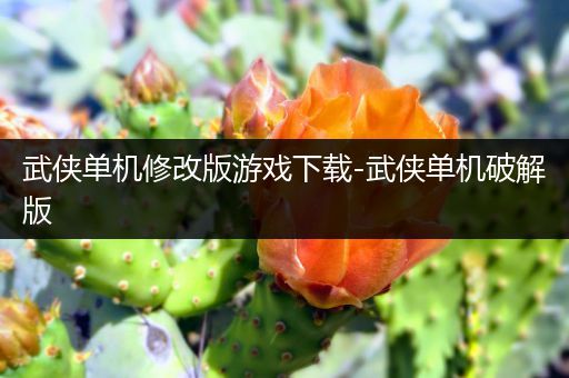武侠单机修改版游戏下载-武侠单机破解版