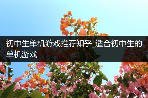 初中生单机游戏推荐知乎_适合初中生的单机游戏