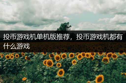 投币游戏机单机版推荐，投币游戏机都有什么游戏