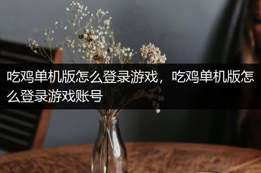 吃鸡单机版怎么登录游戏，吃鸡单机版怎么登录游戏账号
