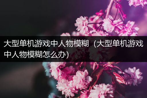 大型单机游戏中人物模糊（大型单机游戏中人物模糊怎么办）