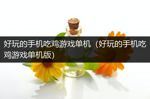 好玩的手机吃鸡游戏单机（好玩的手机吃鸡游戏单机版）