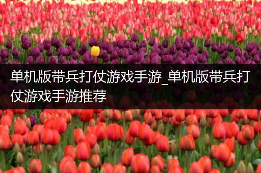 单机版带兵打仗游戏手游_单机版带兵打仗游戏手游推荐
