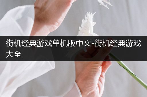 街机经典游戏单机版中文-街机经典游戏大全