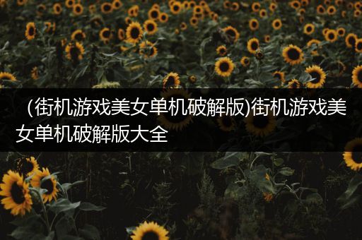 （街机游戏美女单机破解版)街机游戏美女单机破解版大全