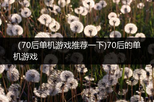 （70后单机游戏推荐一下)70后的单机游戏